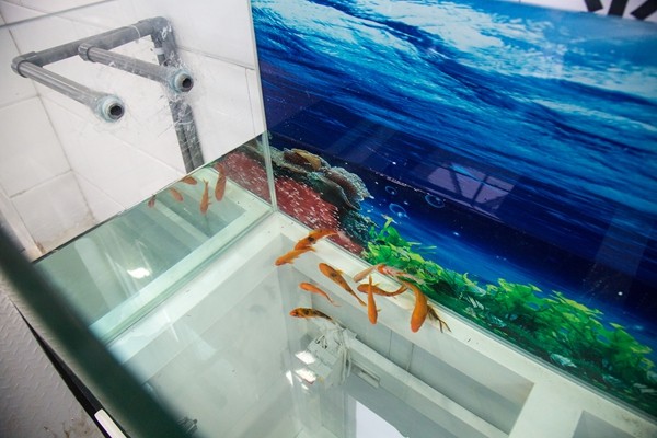 一年可省出一座500万方的水库 ——esball集团中水再生使用项目投运