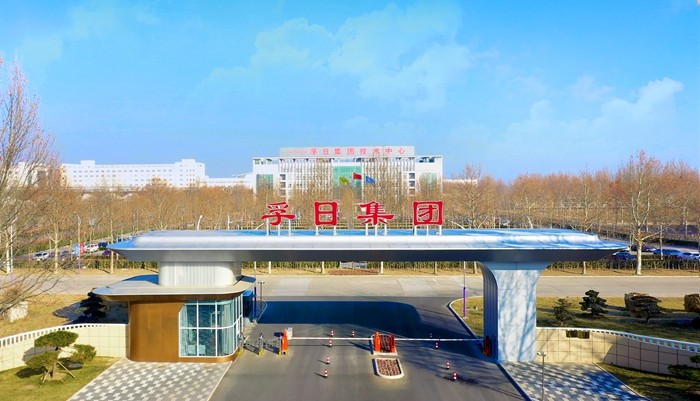 esball电机、、esball宣威同获山东省专精特新企业声誉称呼